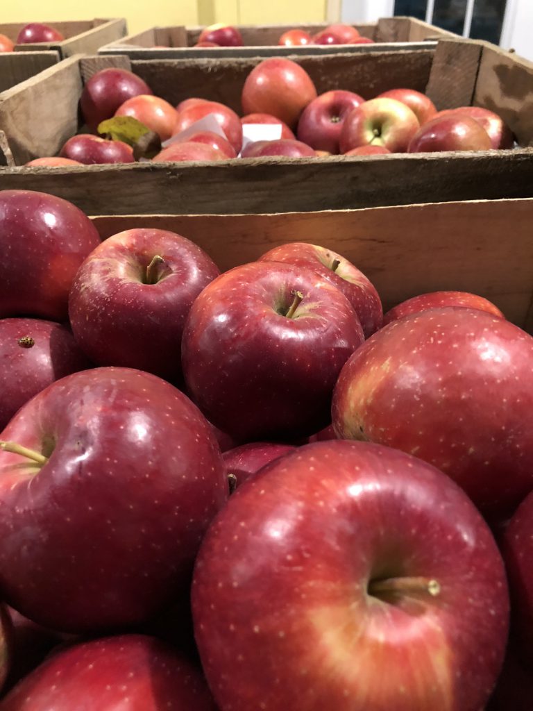 100 Years of Haralson Apples! 🍎🎉 Pleasant Valley Orchard