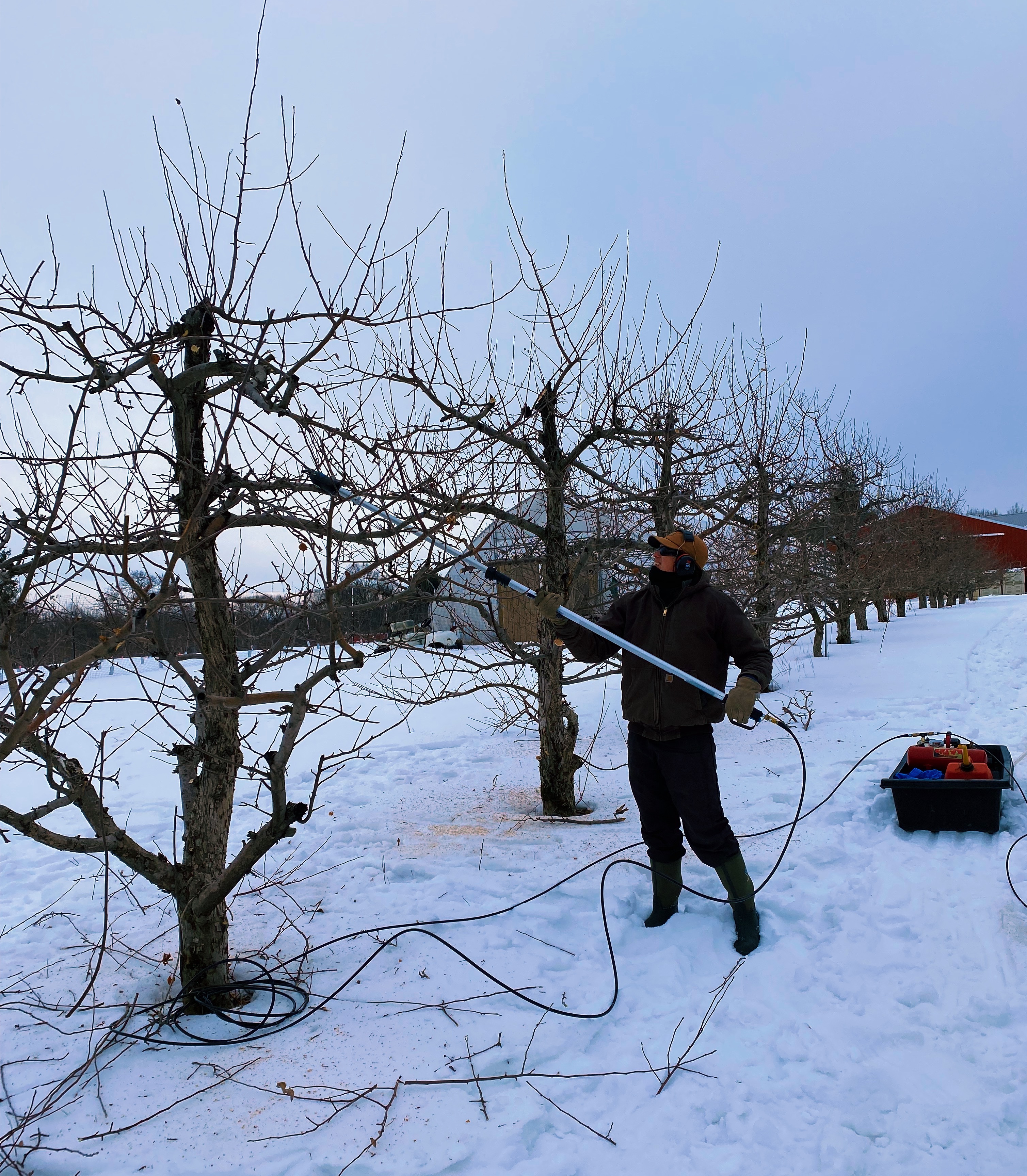 Winter at the Orchard