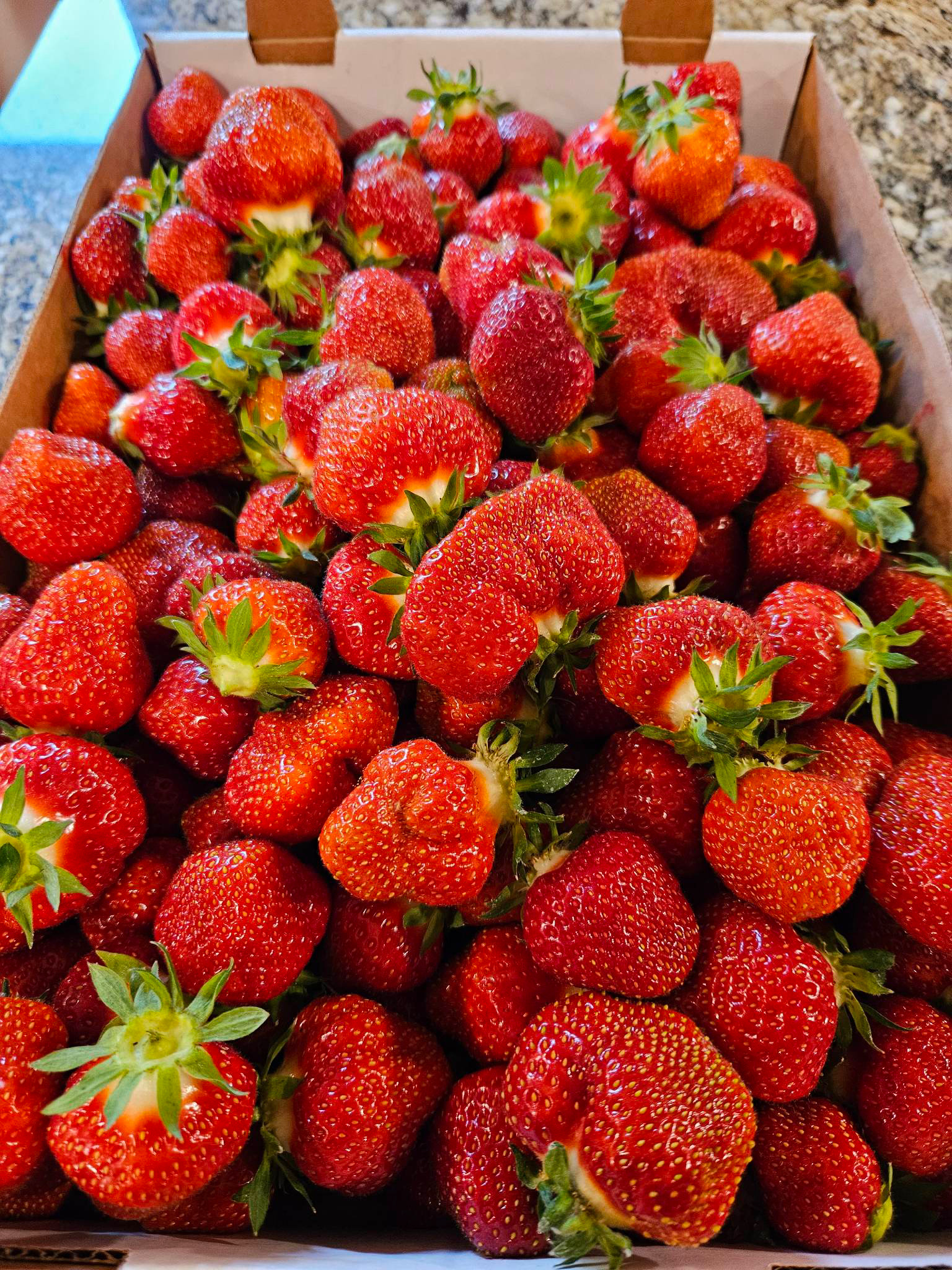 Tips for a good day at the strawberry patch! ?